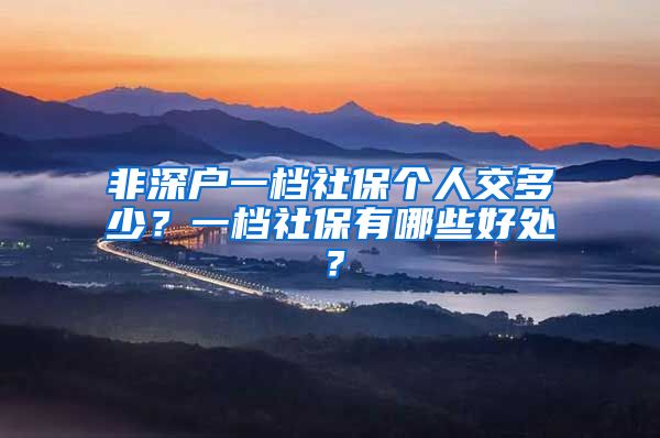 非深户一档社保个人交多少？一档社保有哪些好处？