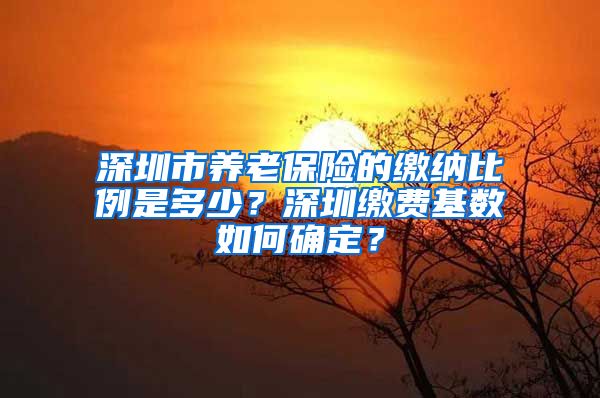 深圳市养老保险的缴纳比例是多少？深圳缴费基数如何确定？