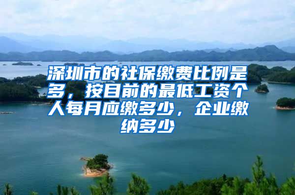 深圳市的社保缴费比例是多，按目前的最低工资个人每月应缴多少，企业缴纳多少