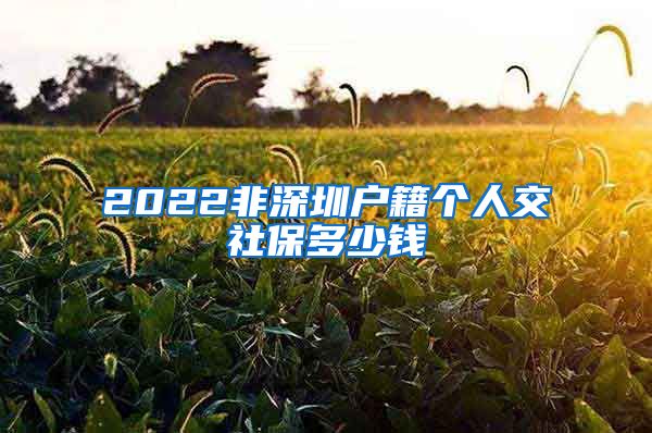 2022非深圳户籍个人交社保多少钱