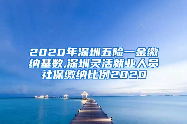 2020年深圳五险一金缴纳基数,深圳灵活就业人员社保缴纳比例2020