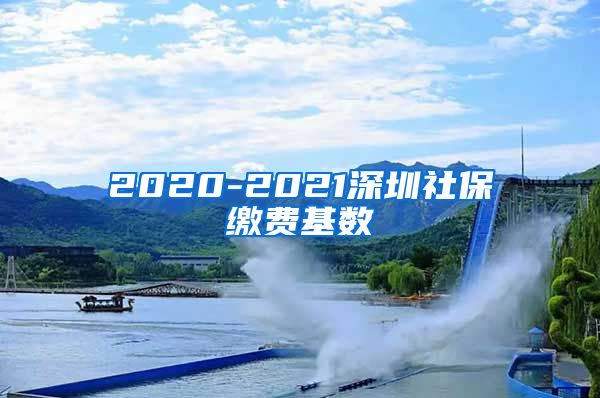 2020-2021深圳社保缴费基数