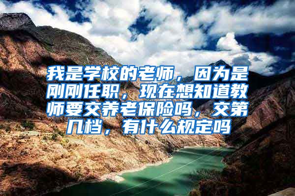 我是学校的老师，因为是刚刚任职，现在想知道教师要交养老保险吗，交第几档，有什么规定吗