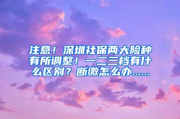 注意！深圳社保两大险种有所调整！一二三档有什么区别？断缴怎么办......