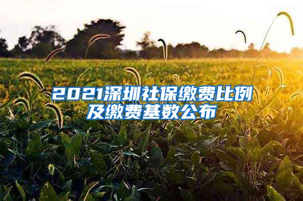 2021深圳社保缴费比例及缴费基数公布