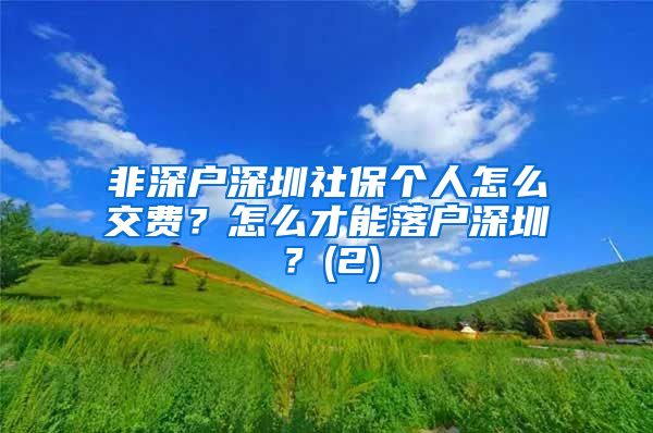 非深户深圳社保个人怎么交费？怎么才能落户深圳？(2)