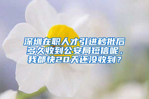 深圳在职人才引进秒批后多久收到公安局短信呢，我都快20天还没收到？