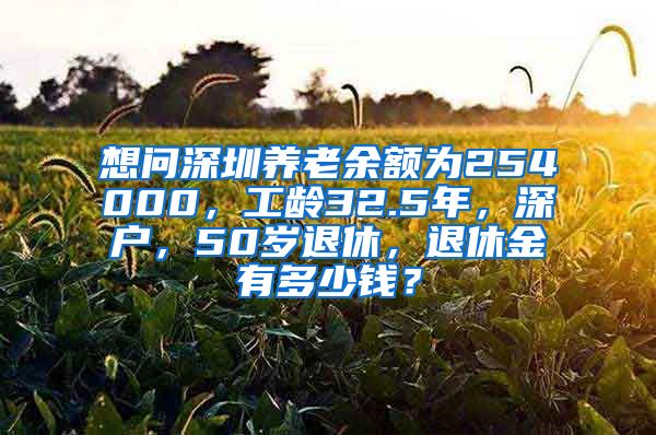 想问深圳养老余额为254000，工龄32.5年，深户，50岁退休，退休金有多少钱？