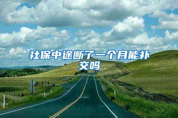 社保中途断了一个月能补交吗