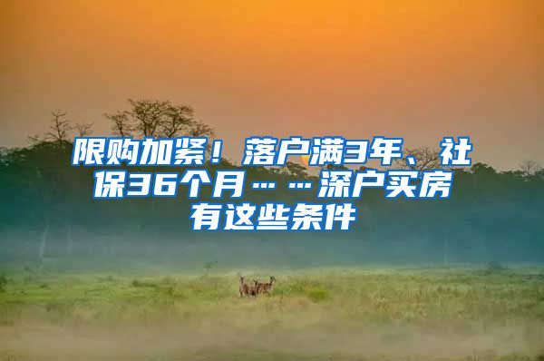 限购加紧！落户满3年、社保36个月……深户买房有这些条件