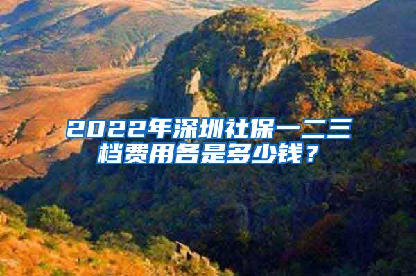 2022年深圳社保一二三档费用各是多少钱？