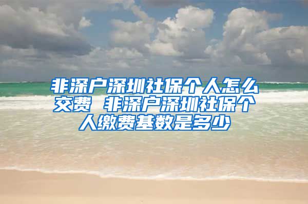 非深户深圳社保个人怎么交费 非深户深圳社保个人缴费基数是多少