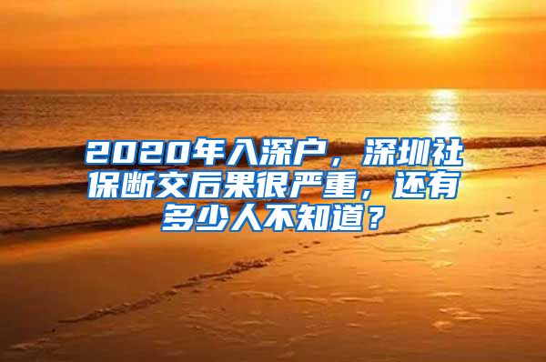 2020年入深户，深圳社保断交后果很严重，还有多少人不知道？