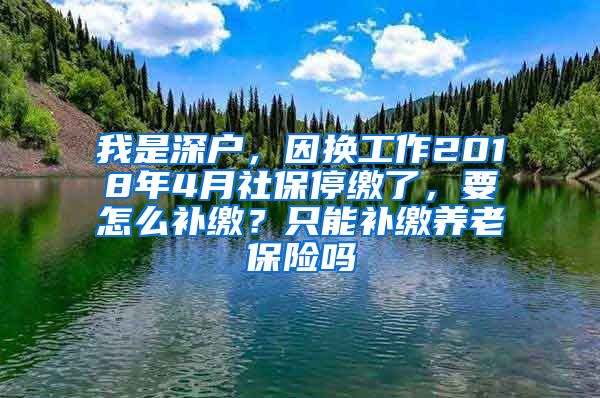 我是深户，因换工作2018年4月社保停缴了，要怎么补缴？只能补缴养老保险吗