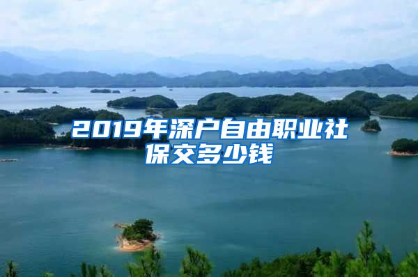 2019年深户自由职业社保交多少钱