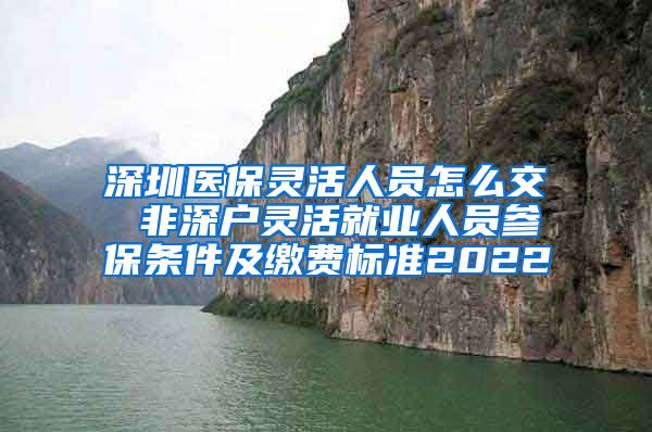 深圳医保灵活人员怎么交 非深户灵活就业人员参保条件及缴费标准2022