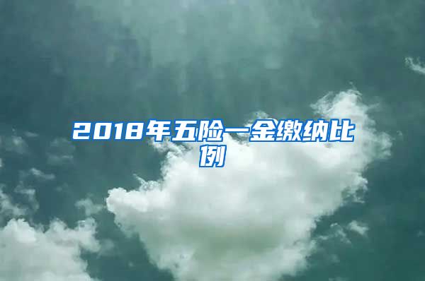 2018年五险一金缴纳比例