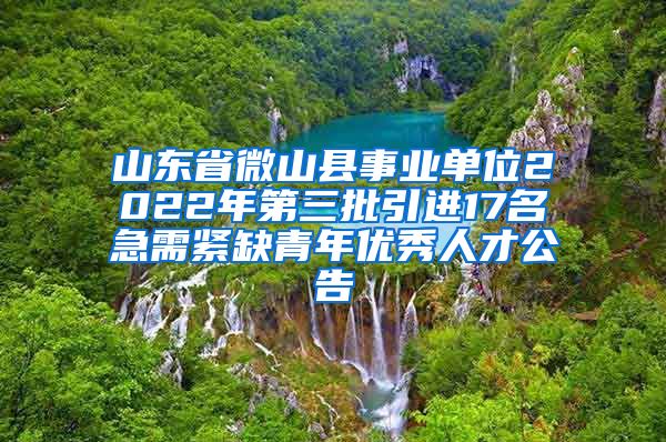 山东省微山县事业单位2022年第三批引进17名急需紧缺青年优秀人才公告