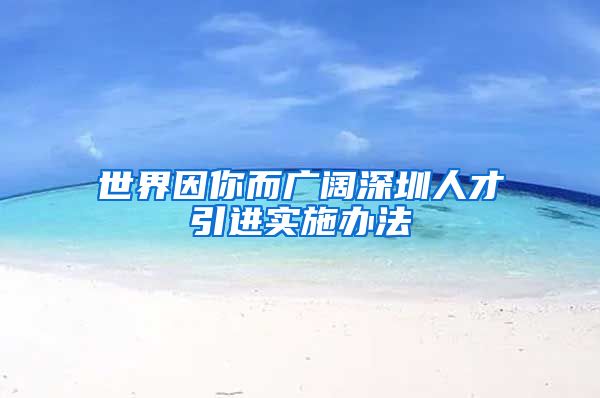 世界因你而广阔深圳人才引进实施办法