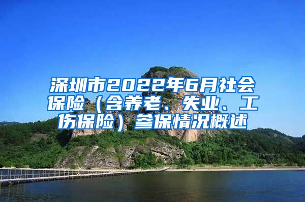 深圳市2022年6月社会保险（含养老、失业、工伤保险）参保情况概述