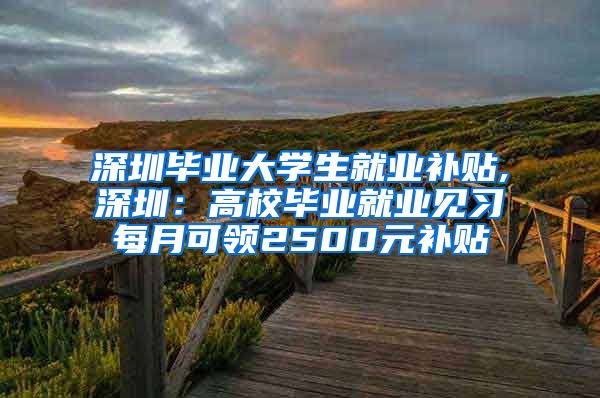 深圳毕业大学生就业补贴,深圳：高校毕业就业见习每月可领2500元补贴