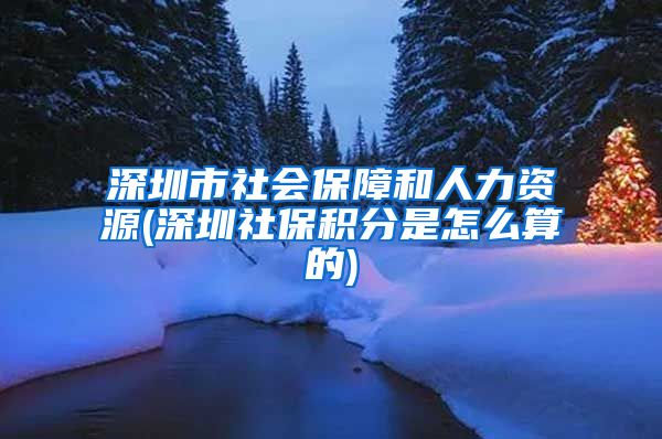 深圳市社会保障和人力资源(深圳社保积分是怎么算的)