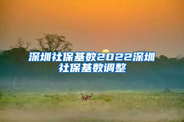 深圳社保基数2022深圳社保基数调整