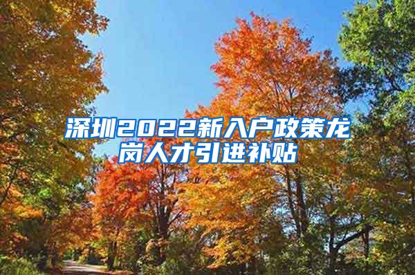 深圳2022新入户政策龙岗人才引进补贴