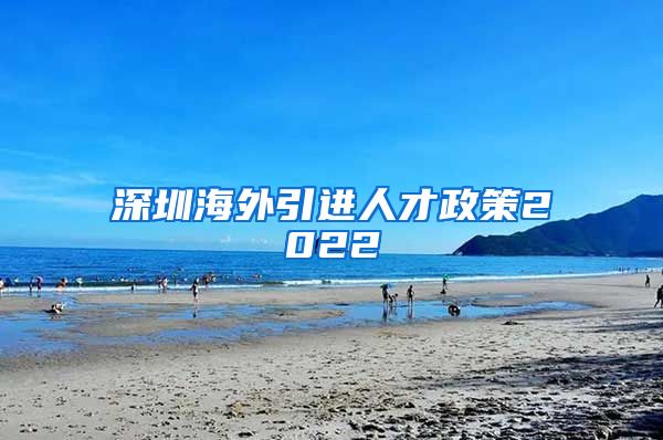 深圳海外引进人才政策2022