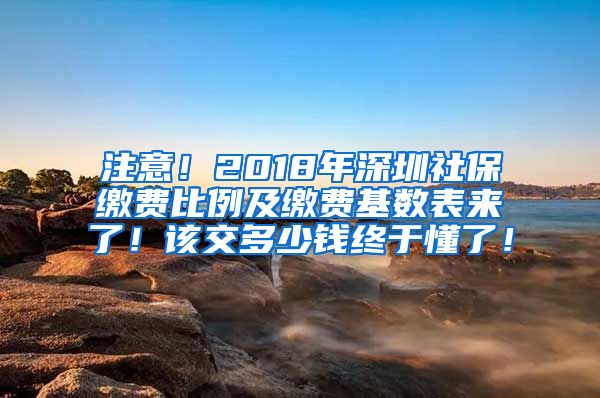 注意！2018年深圳社保缴费比例及缴费基数表来了！该交多少钱终于懂了！