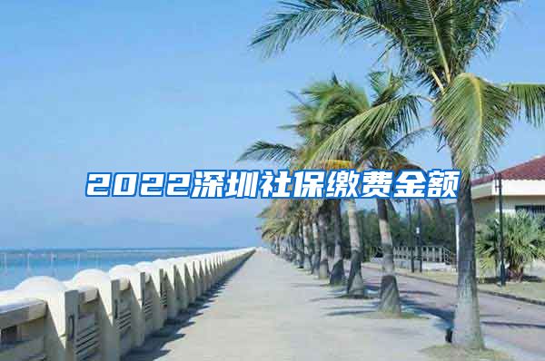 2022深圳社保缴费金额