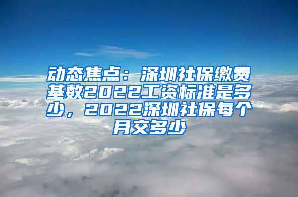 动态焦点：深圳社保缴费基数2022工资标准是多少，2022深圳社保每个月交多少