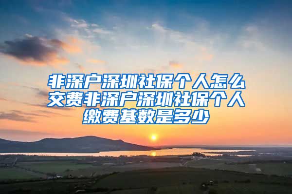 非深户深圳社保个人怎么交费非深户深圳社保个人缴费基数是多少