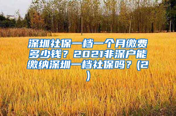 深圳社保一档一个月缴费多少钱？2021非深户能缴纳深圳一档社保吗？(2)