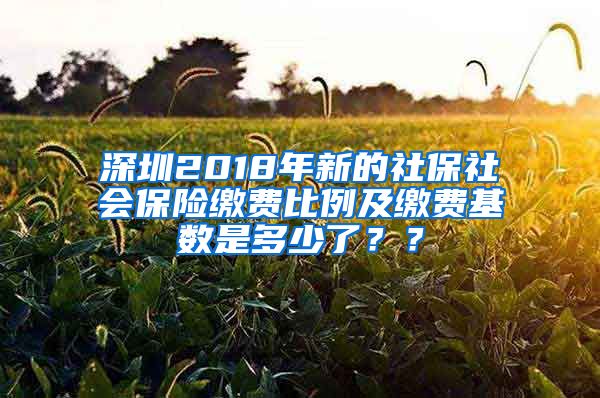 深圳2018年新的社保社会保险缴费比例及缴费基数是多少了？？