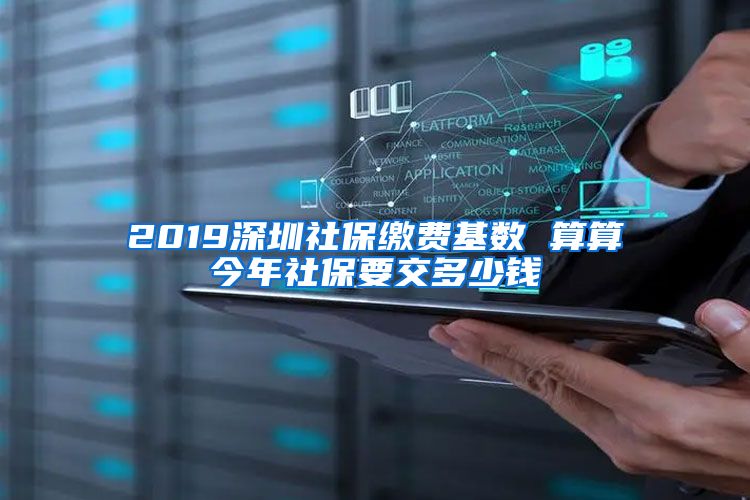 2019深圳社保缴费基数 算算今年社保要交多少钱