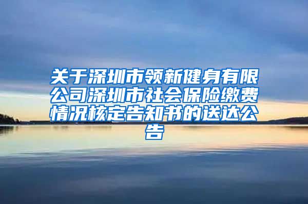 关于深圳市领新健身有限公司深圳市社会保险缴费情况核定告知书的送达公告