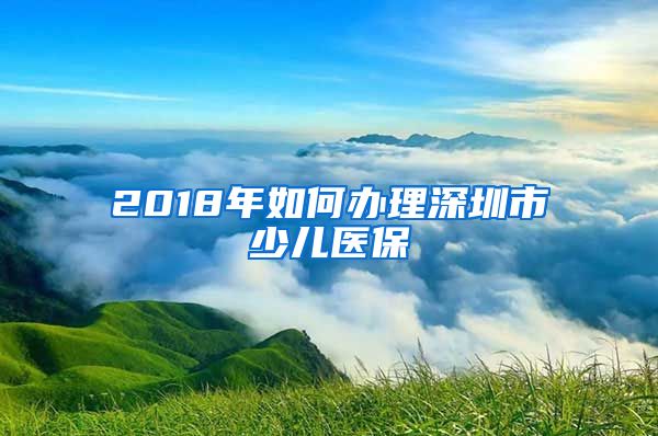 2018年如何办理深圳市少儿医保