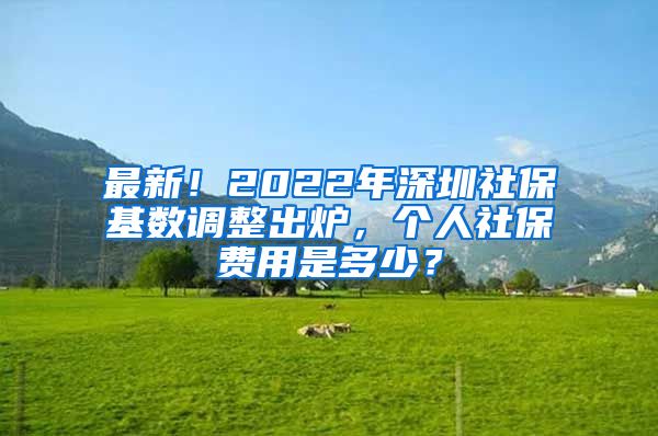 最新！2022年深圳社保基数调整出炉，个人社保费用是多少？