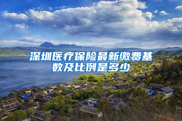 深圳医疗保险最新缴费基数及比例是多少