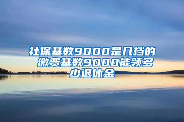 社保基数9000是几档的 缴费基数9000能领多少退休金