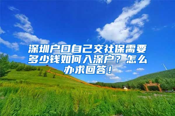 深圳户口自己交社保需要多少钱如何入深户？怎么办求回答！