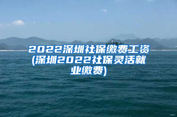 2022深圳社保缴费工资(深圳2022社保灵活就业缴费)