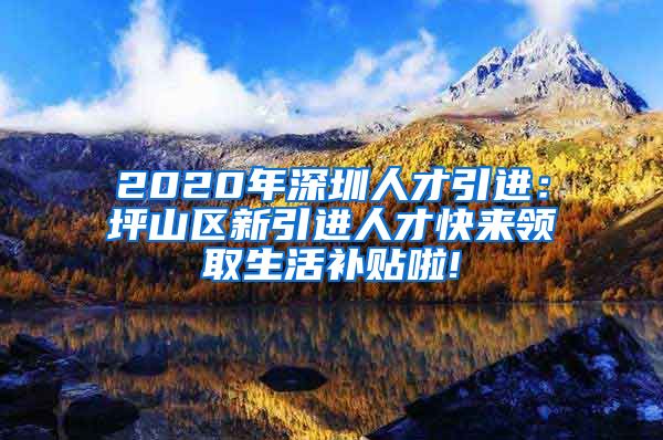 2020年深圳人才引进：坪山区新引进人才快来领取生活补贴啦!