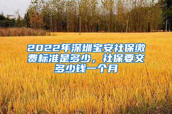 2022年深圳宝安社保缴费标准是多少，社保要交多少钱一个月