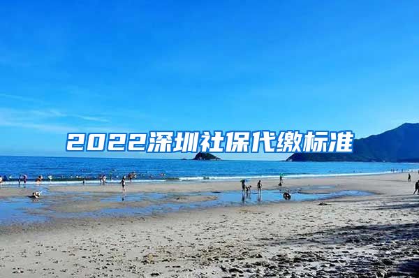 2022深圳社保代缴标准