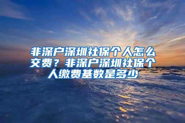 非深户深圳社保个人怎么交费？非深户深圳社保个人缴费基数是多少