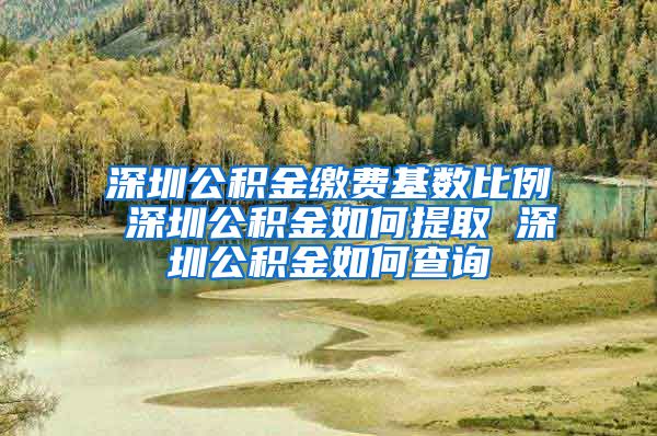 深圳公积金缴费基数比例 深圳公积金如何提取 深圳公积金如何查询