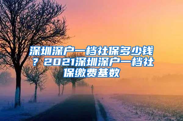 深圳深户一档社保多少钱？2021深圳深户一档社保缴费基数