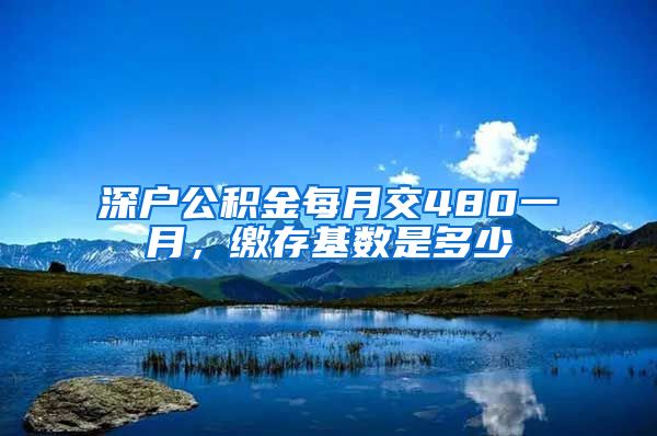 深户公积金每月交480一月，缴存基数是多少